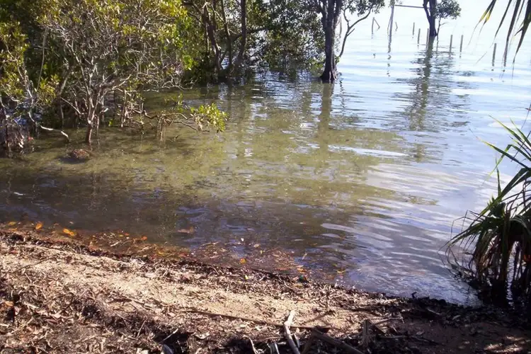 Second view of Homely land listing, 5 Goodsell Crescent, Lamb Island QLD 4184