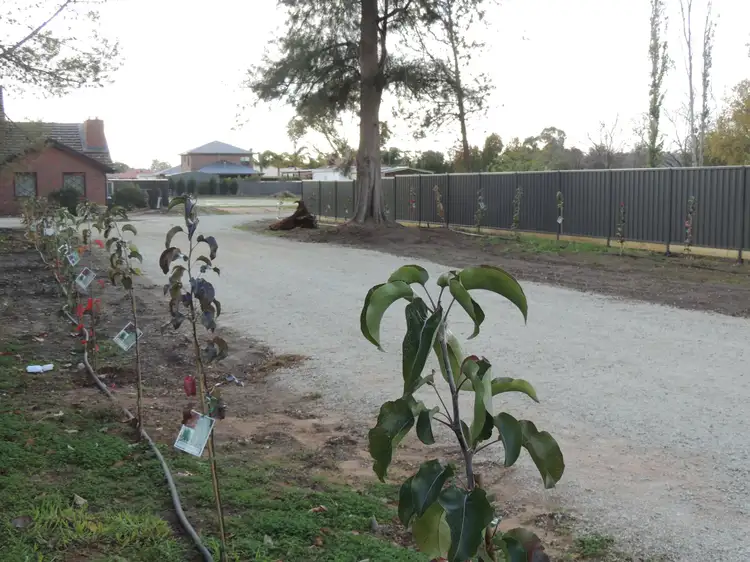 Fifth view of Homely land listing, 44-50 Werril Street, Swan Hill VIC 3585