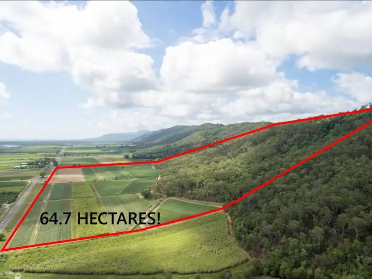 Main view of Homely rural property listing, Lot 1 & Lo Captain Cook Highway, Killaloe, Port Douglas QLD 4877
