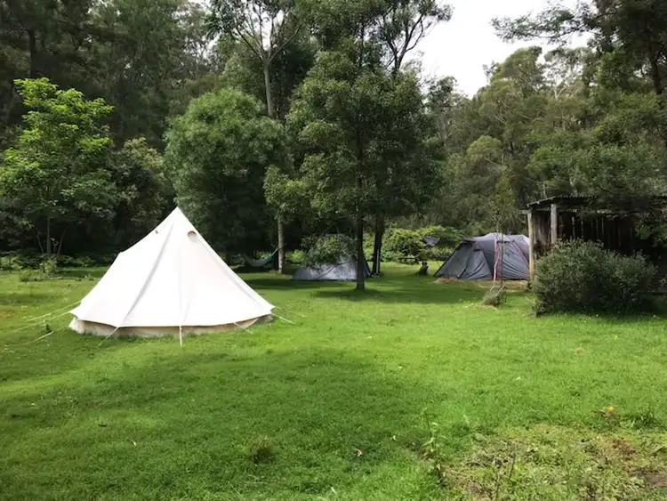 Seventh view of Homely rural property listing, 150 Lyrebird Ridge Road, Coolagolite NSW 2550