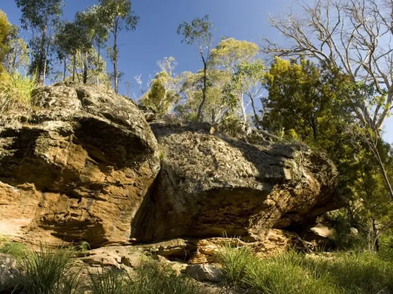 Main view of Homely land listing, 1190 Marked Tree Road, Hollow Tree TAS 7140