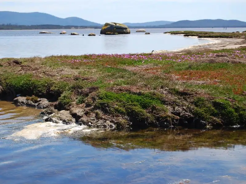 Main view of Homely land listing, 295 Wallaroo Road, Coles Bay TAS 7215