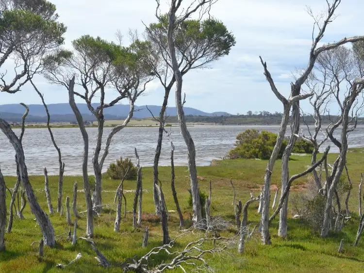 Third view of Homely land listing, 295 Wallaroo Road, Coles Bay TAS 7215