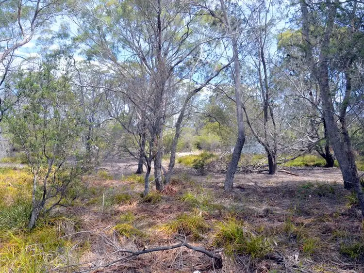 Fifth view of Homely land listing, 295 Wallaroo Road, Coles Bay TAS 7215