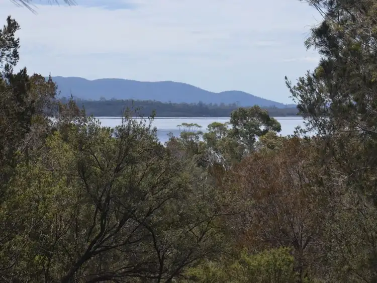Seventh view of Homely land listing, 295 Wallaroo Road, Coles Bay TAS 7215