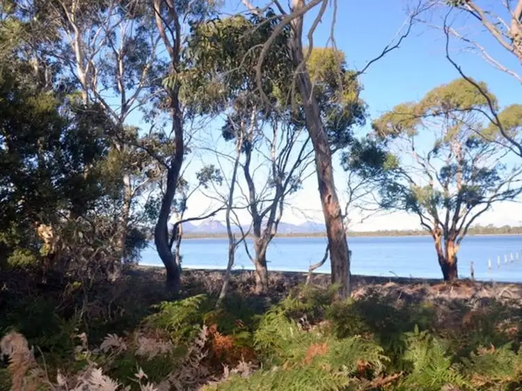 Main view of Homely house listing, 89 Flacks Road, Coles Bay TAS 7215
