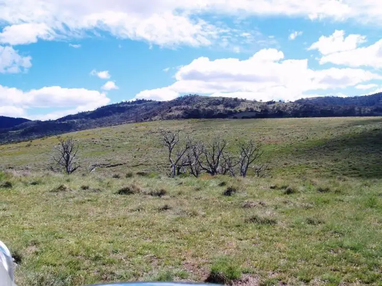 Seventh view of Homely rural property listing, 1225 Smiths Road, Tharwa ACT 2620