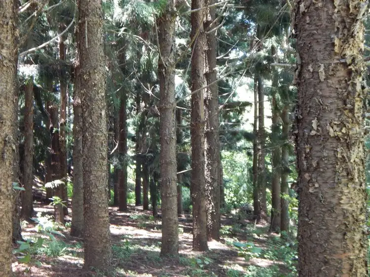 Third view of Homely land listing, 70 Manthey Road, Atherton QLD 4883