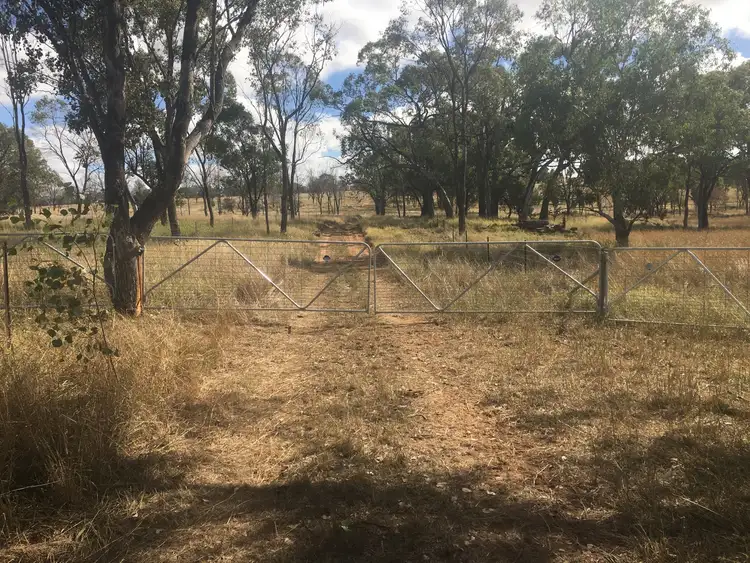 Sixth view of Homely rural property listing, 407 Lanreef Road, Roma QLD 4455