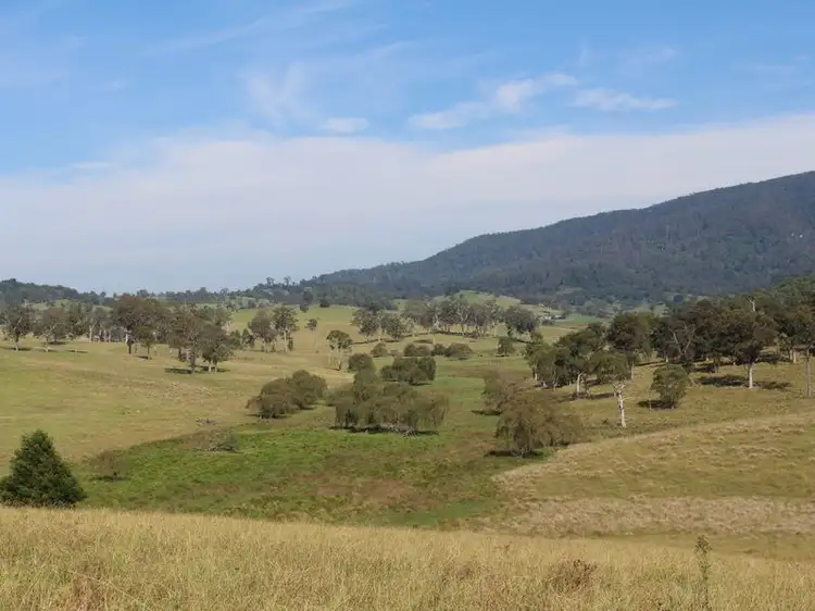 Fifth view of Homely land listing, 10970 Princes Highway, Cobargo NSW 2550