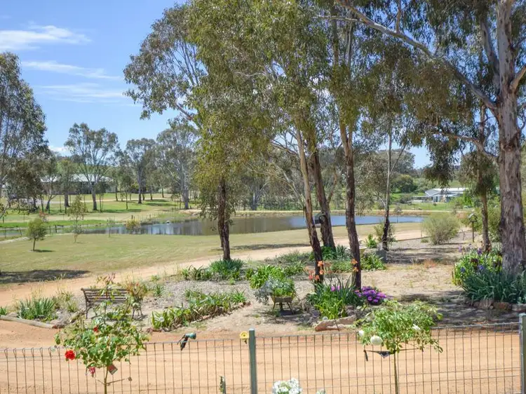 202 Donges Road, Young NSW 2594