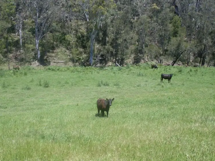 Second view of Homely land listing, Lots 102 3 Wamban Road, Moruya NSW 2537