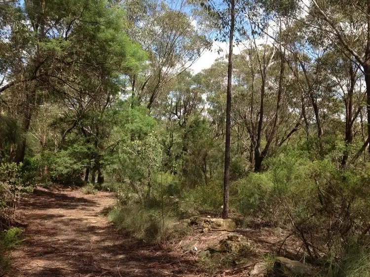 Fifth view of Homely land listing, 38 Sedger Road, Kenthurst NSW 2156