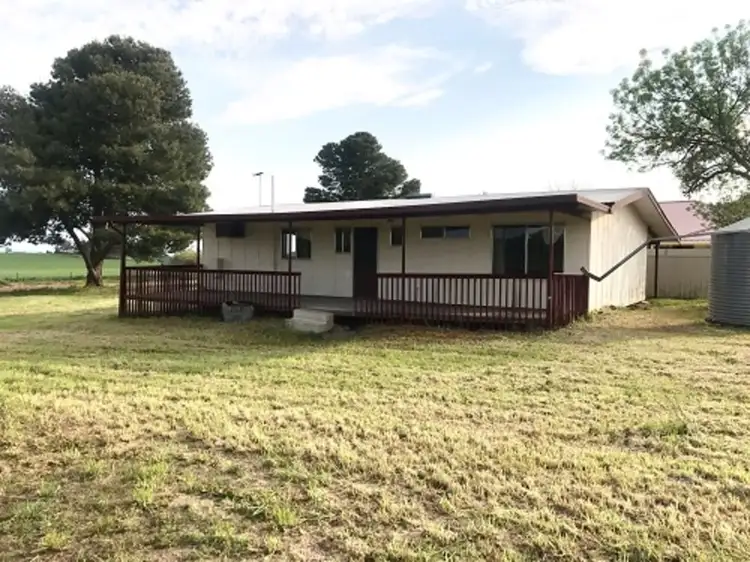 Main view of Homely house listing, 521 Schuster Street, Freeling SA 5372