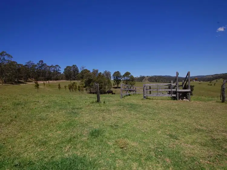 Third view of Homely rural property listing, 3100 Nowendoc Road KNORRIT FLAT via, Wingham NSW 2429
