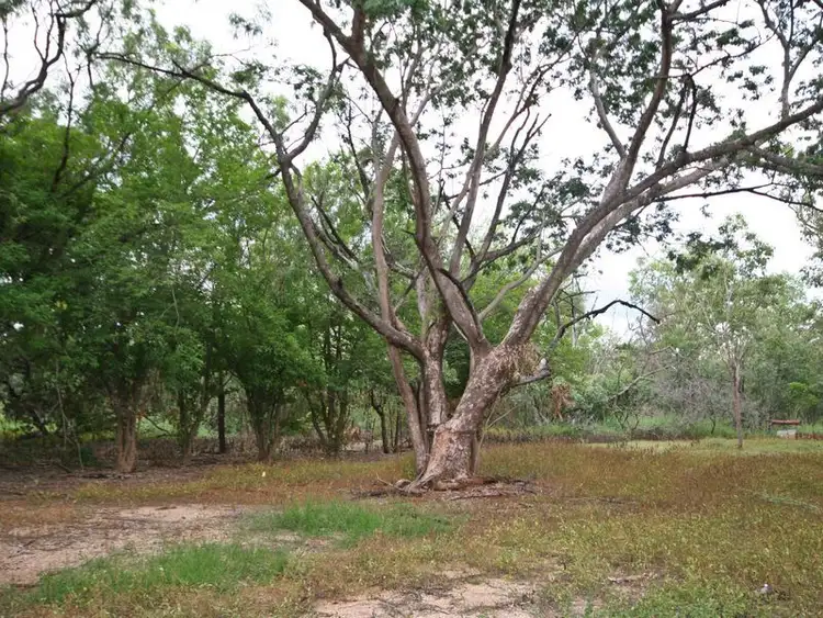 Seventh view of Homely rural property listing, Helena Road, Katherine NT 850