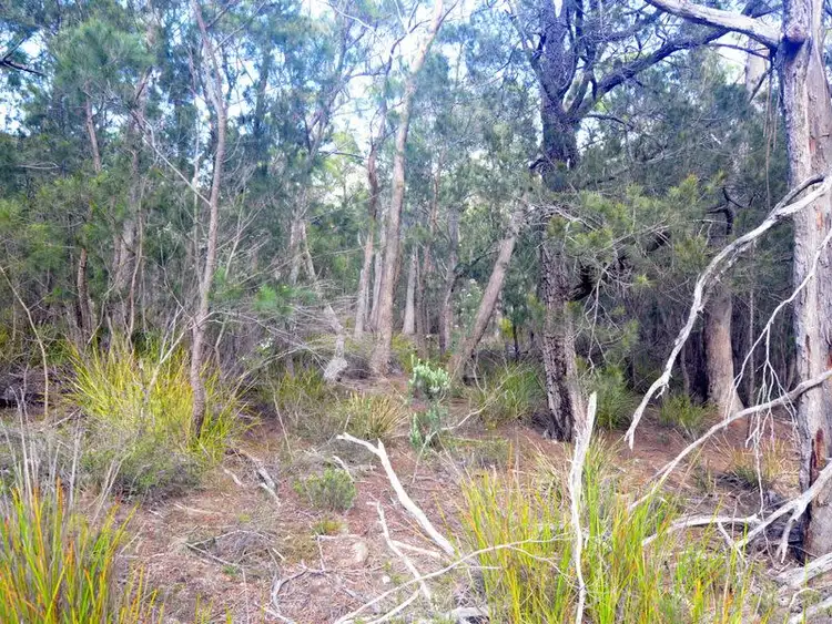 Sixth view of Homely land listing, 179 Rosedale Road, Bicheno TAS 7215