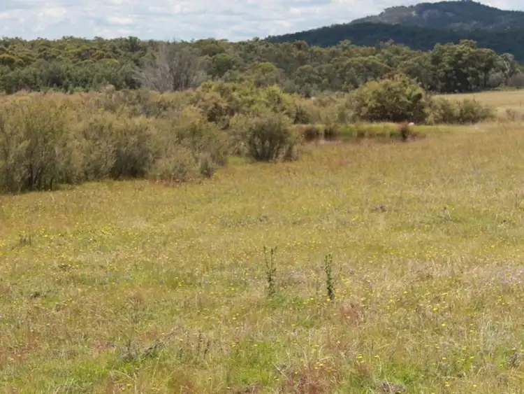 Fifth view of Homely rural property listing, Lot 14 Catarrh Creek Road, Torrington NSW 2371