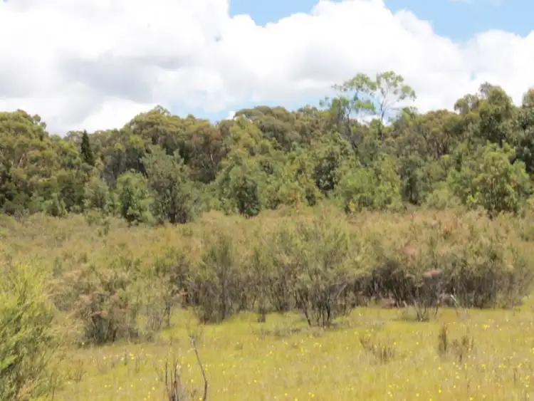 Sixth view of Homely rural property listing, Lot 14 Catarrh Creek Road, Torrington NSW 2371