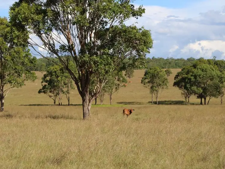 Sixth view of Homely rural property listing, 341 Bowman Road, Blackbutt QLD 4306