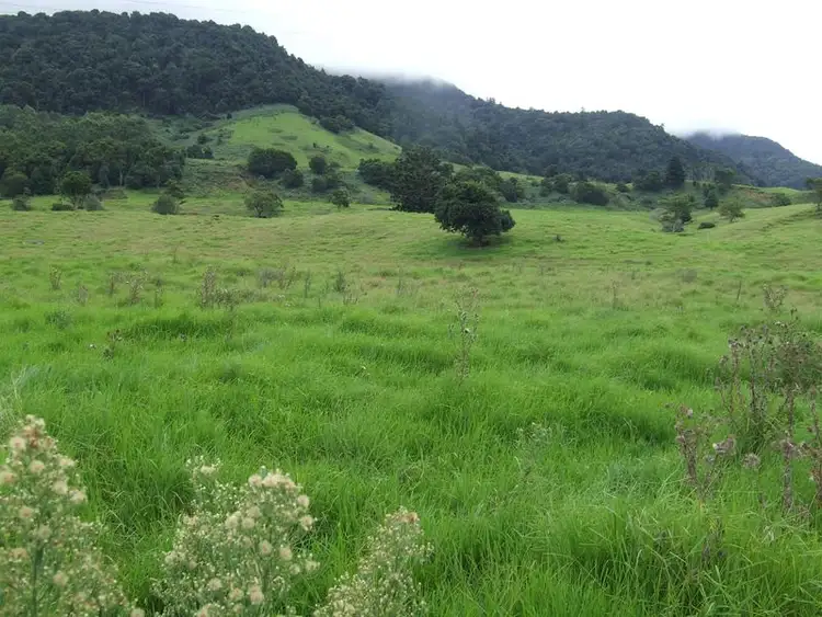 Seventh view of Homely rural property listing, Proposed l Spring Creek Road The Head via, Killarney QLD 4373