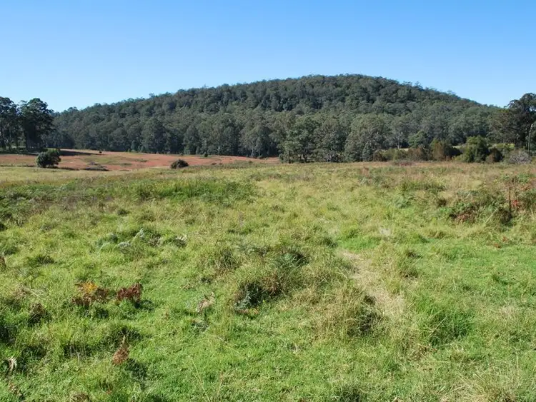 Third view of Homely rural property listing, 917 Moleton Road, Lowanna NSW 2450