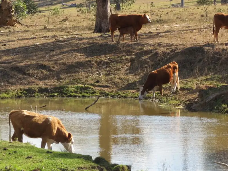 Main view of Homely rural property listing, 633 Esk Crows Nest Road, Esk QLD 4312