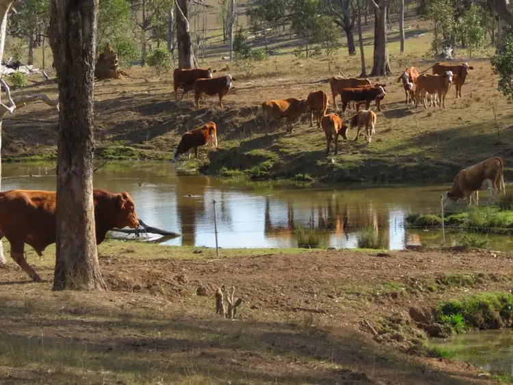 Sixth view of Homely rural property listing, 633 Esk Crows Nest Road, Esk QLD 4312