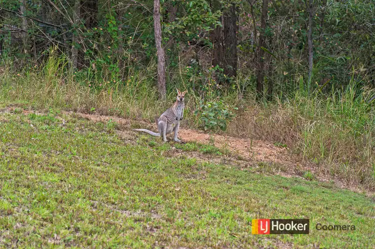 Seventh view of Homely land listing, 15 Currawong Crescent, Upper Coomera QLD 4209