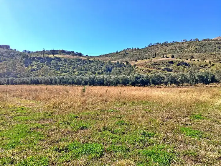 Fifth view of Homely rural property listing, 561 Lefthand Branch Road, Lefthand Branch QLD 4343