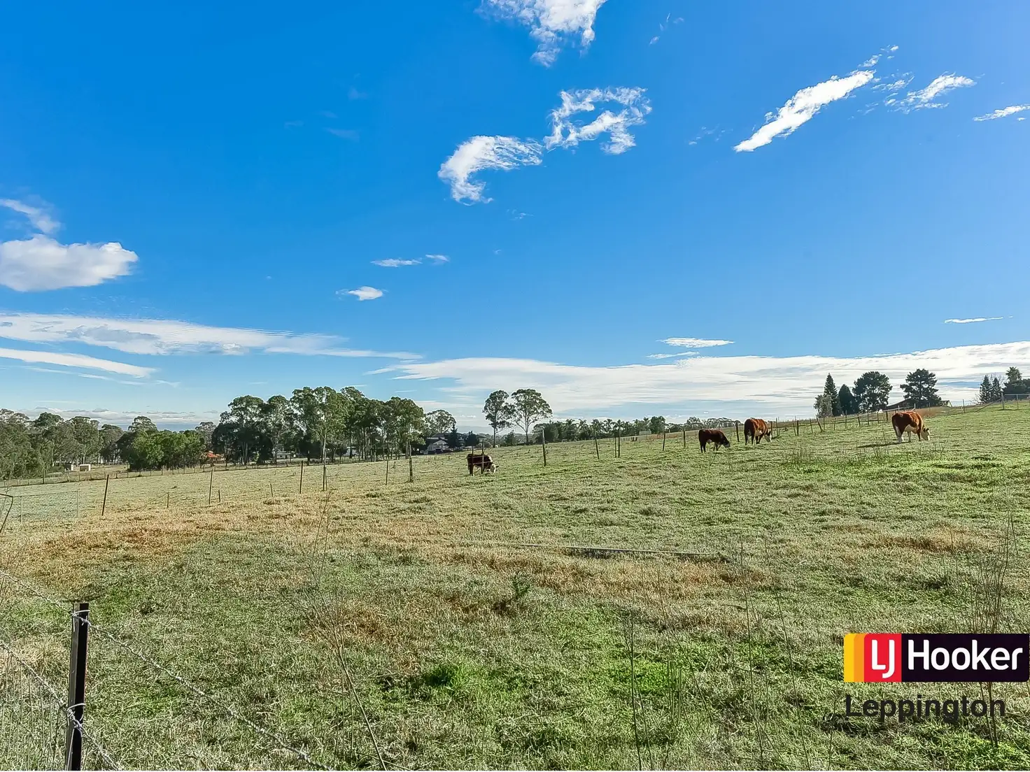 Main view of Homely rural property listing, Address available on request