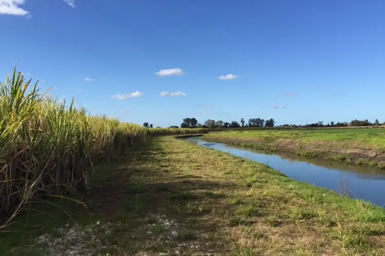 Second view of Homely rural property listing, 195 Reardons Lane, Swan Bay NSW 2471