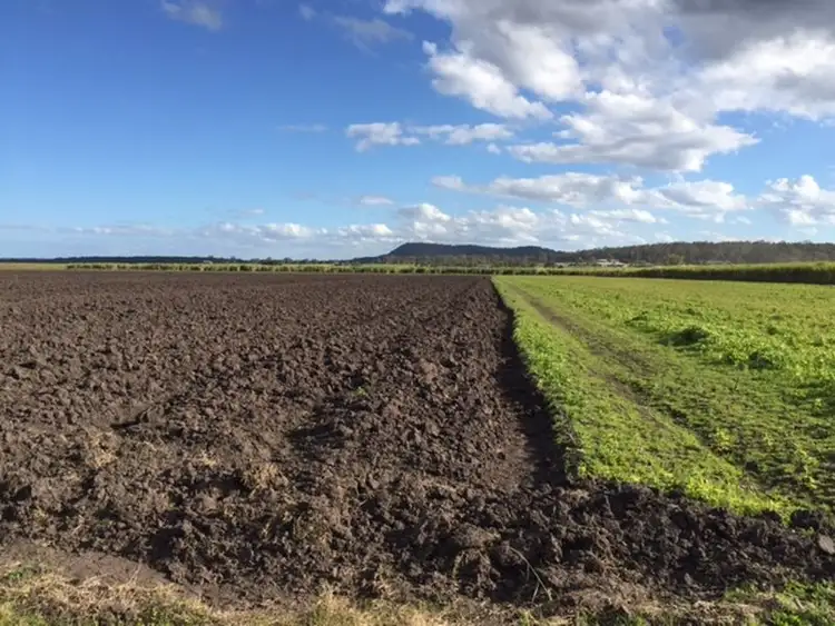 Fifth view of Homely rural property listing, 195 Reardons Lane, Swan Bay NSW 2471