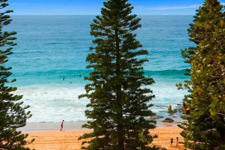 Sixth view of Homely house listing, 215 Whale Beach Road, Whale Beach NSW 2107