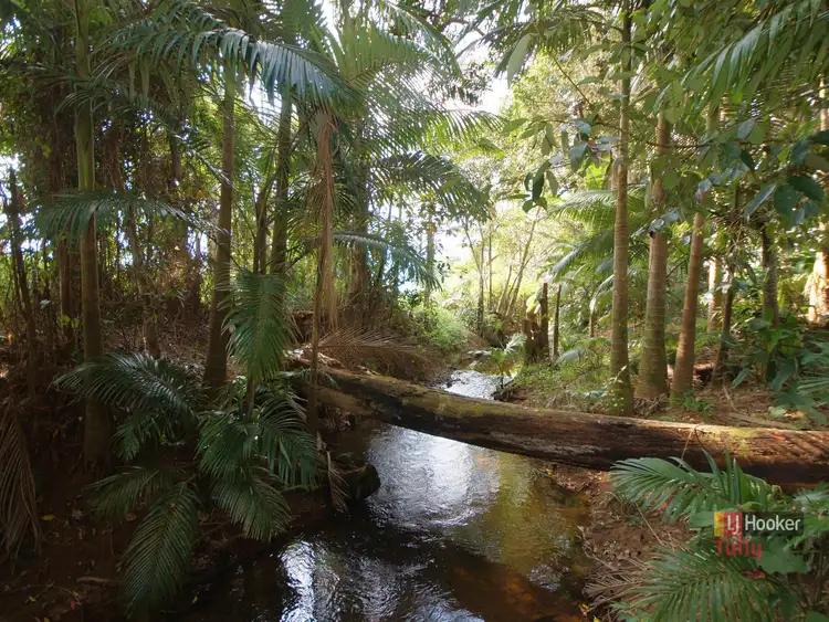 Third view of Homely house listing, 198 East Feluga Road, East Feluga QLD 4854