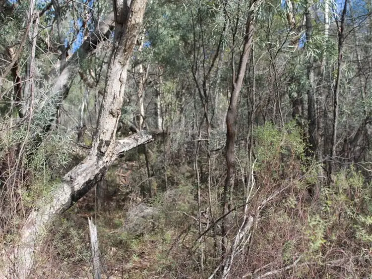 Sixth view of Homely rural property listing, Lot 2 DP 8 Gulf Rd, Emmaville NSW 2371