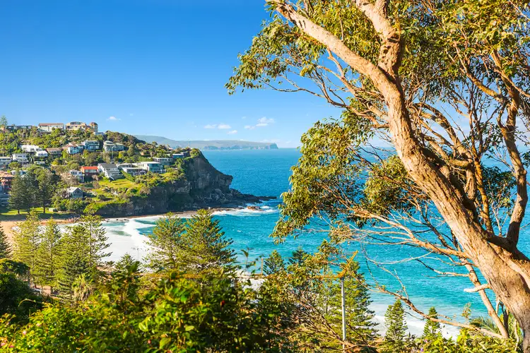 Fifth view of Homely land listing, 168 Whale Beach Road, Whale Beach NSW 2107