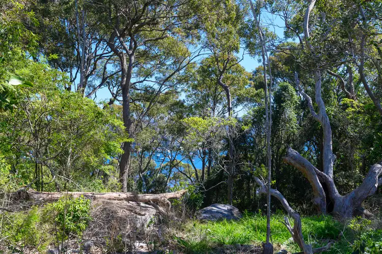 Sixth view of Homely land listing, 168 Whale Beach Road, Whale Beach NSW 2107