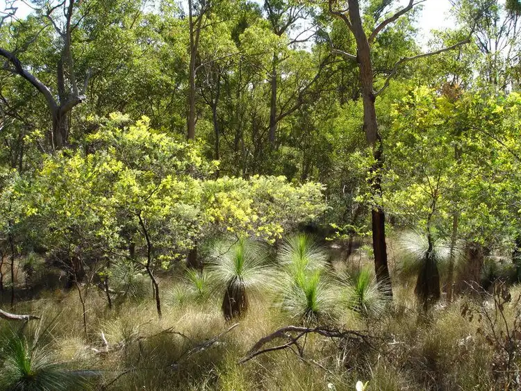 Sixth view of Homely land listing, Lot 2 Mackenzie Lane, Redbank Creek QLD 4312