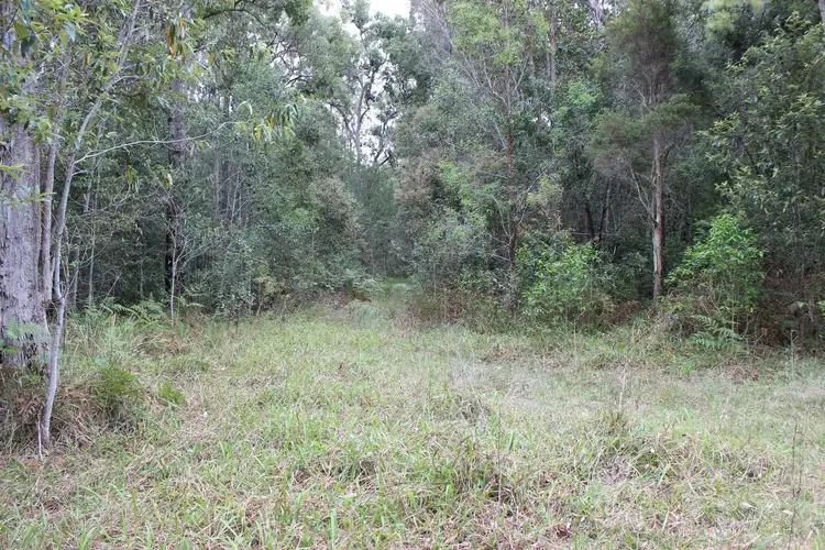 Fourth view of Homely rural property listing, Lot 27 Elliotts Road, MYRTLE CREEK via, Casino NSW 2470