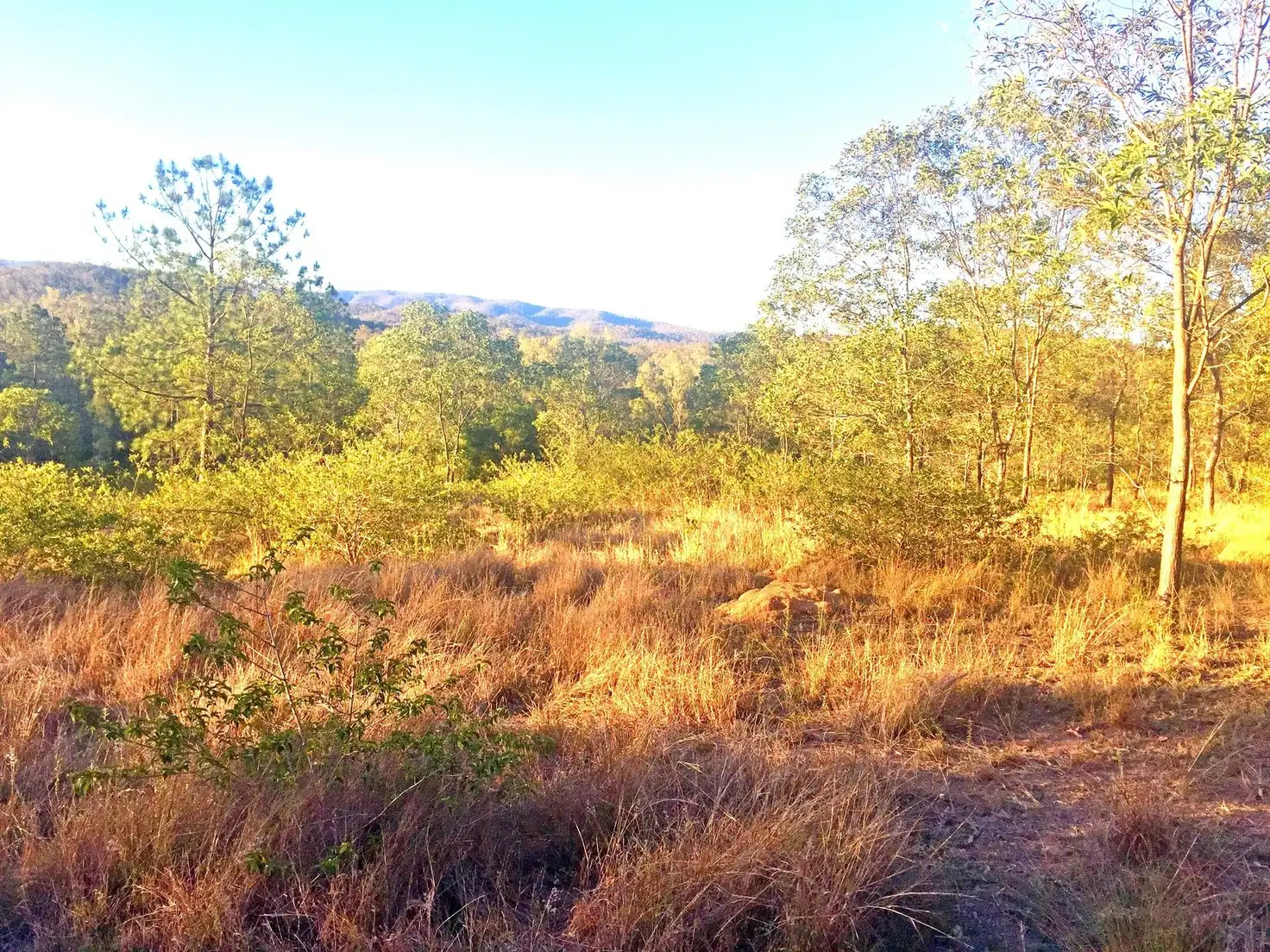Main view of Homely land listing, L44 317 ADARE ROAD, Adare QLD 4343
