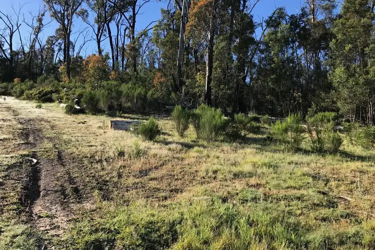 Second view of Homely land listing, 31 Torbreck Street, Taggerty VIC 3714