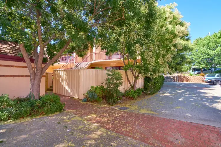 Main view of Homely apartment listing, 3/11 Flack Street, Holt ACT 2615