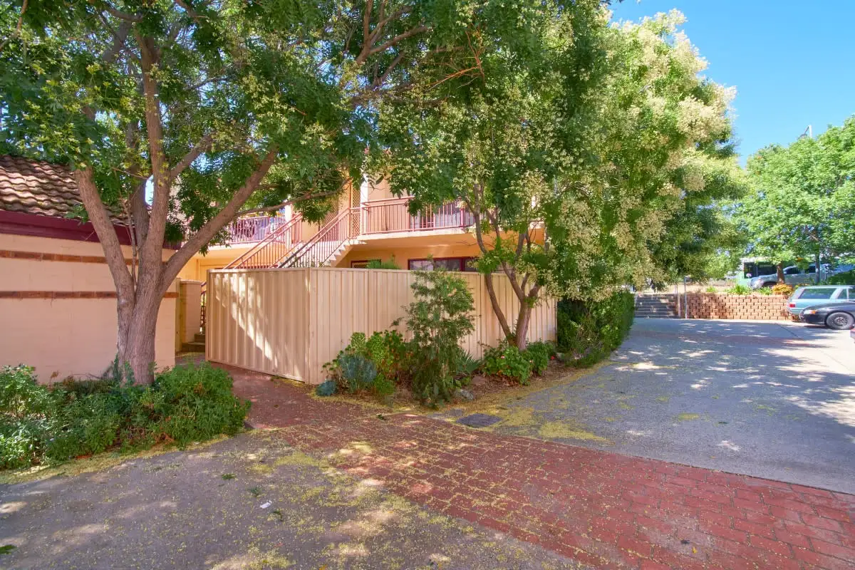 Main view of Homely apartment listing, 3/11 Flack Street, Holt ACT 2615