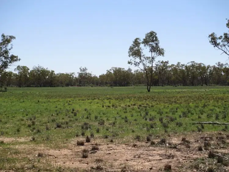 Seventh view of Homely rural property listing, Morven QLD 4468