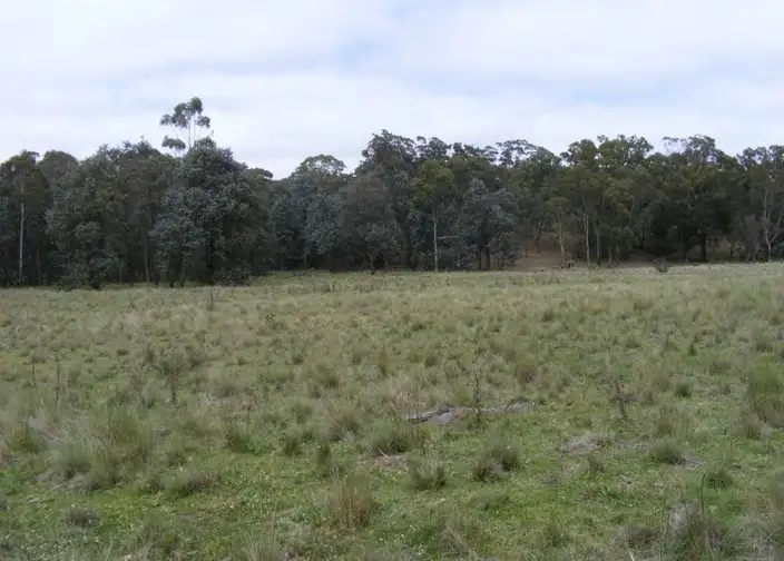Fifth view of Homely rural property listing, 208 McLachlan Road, Bannaby NSW 2580