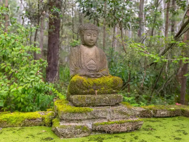 Fourth view of Homely house listing, 31 Buckenboura Road, Mogo NSW 2536