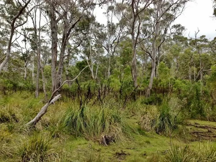 Second view of Homely land listing, Lilla/Villa Tasman Highway, Bicheno TAS 7215
