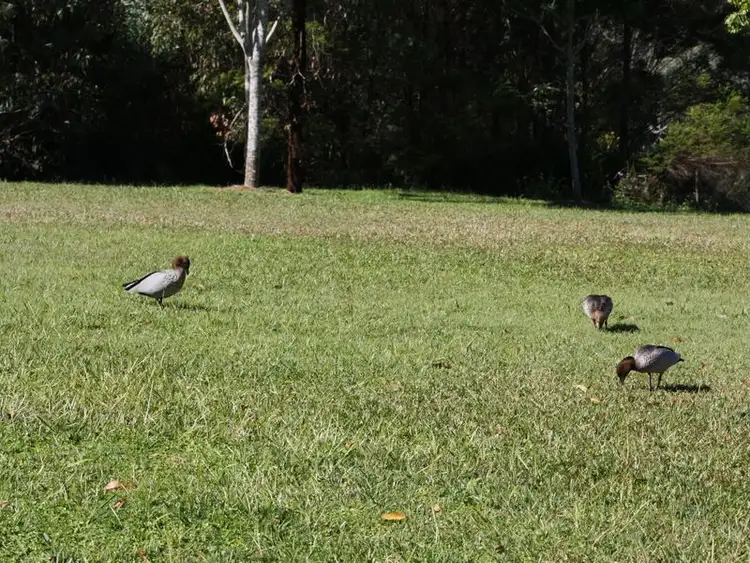 Fifth view of Homely land listing, 21 Lynette Way, Daisy Hill QLD 4127