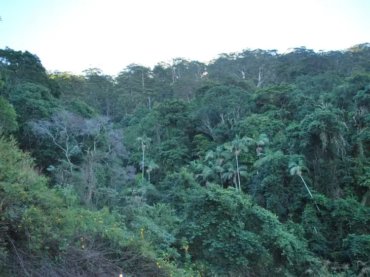 Third view of Homely land listing, Lot 4 89 Rippingale Road, Korora NSW 2450